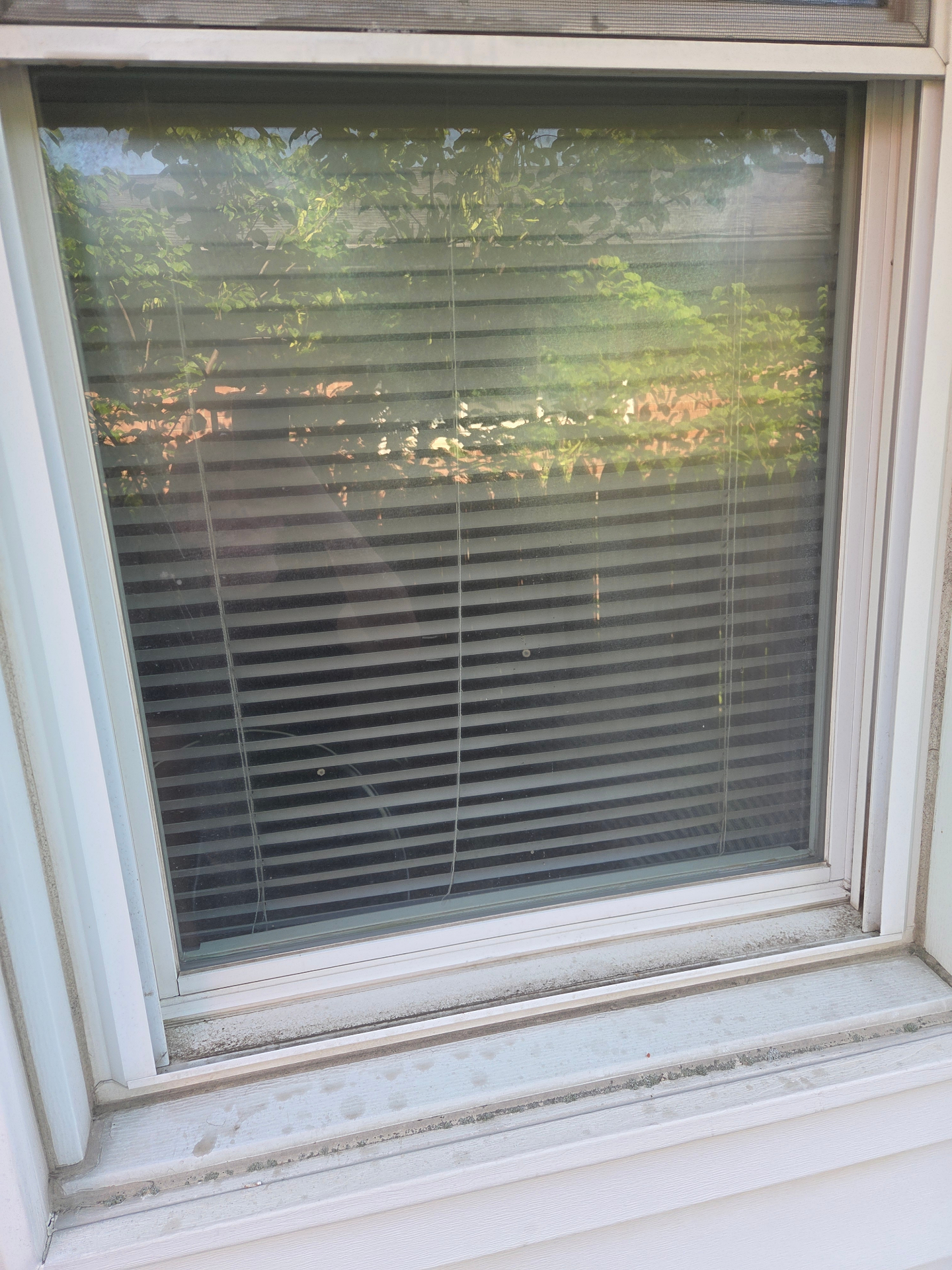 Dusty window with streaks before cleaning